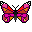 butterfly-107